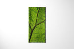 Load image into Gallery viewer, Leaf multifunctional bandana
